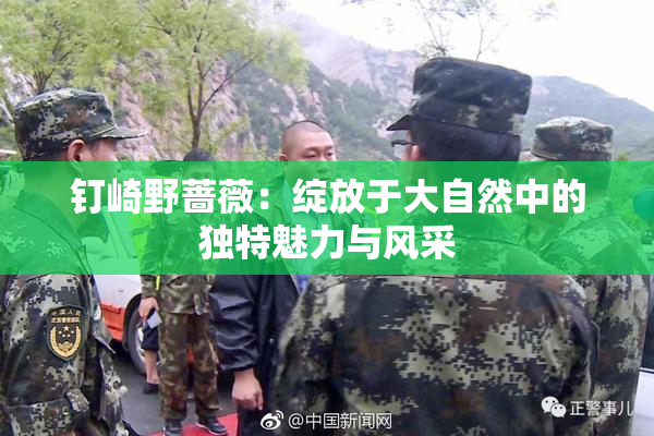 钉崎野蔷薇：绽放于大自然中的独特魅力与风采