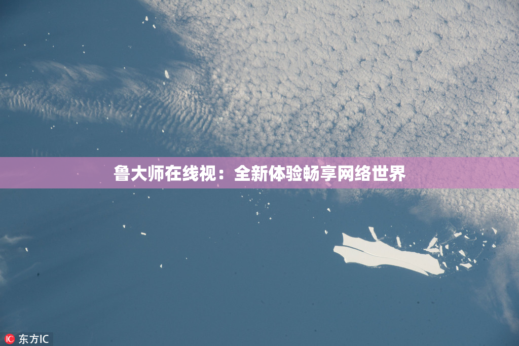 鲁大师在线视：全新体验畅享网络世界