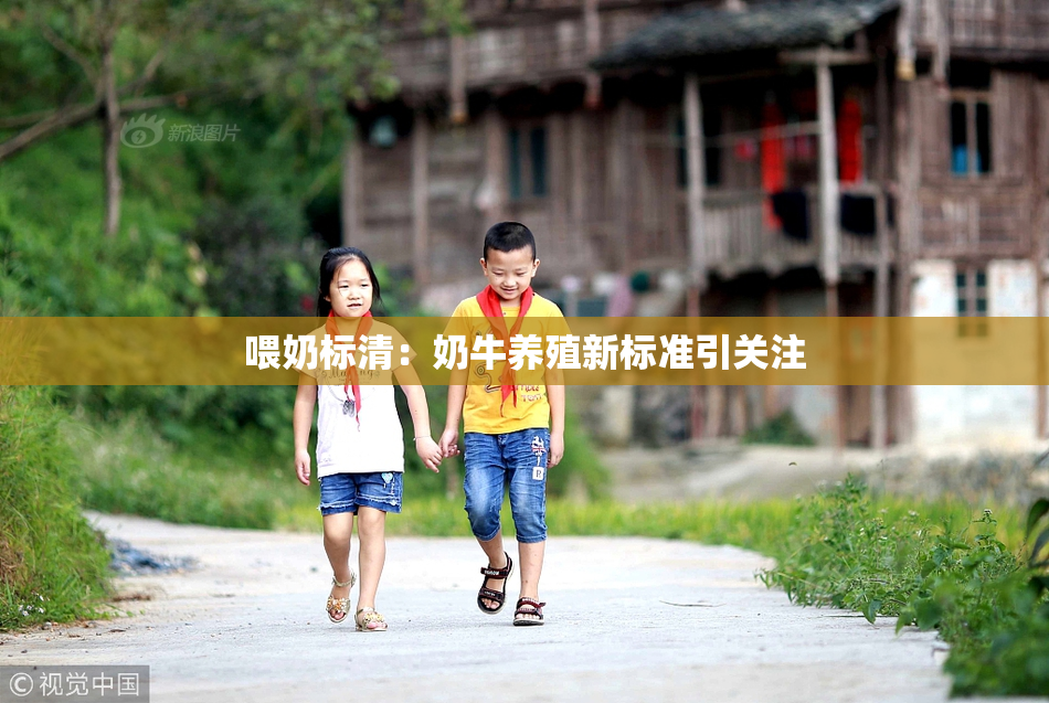 喂奶标清：奶牛养殖新标准引关注