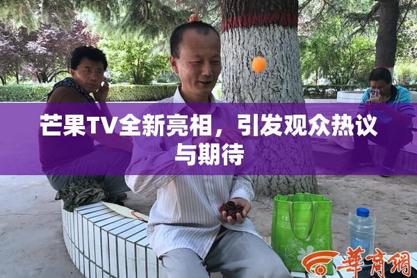 芒果TV全新亮相，引发观众热议与期待