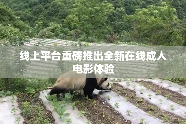 线上平台重磅推出全新在线成人电影体验