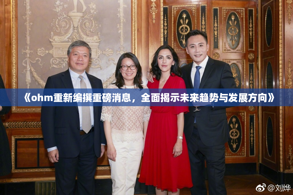 《ohm重新编撰重磅消息，全面揭示未来趋势与发展方向》