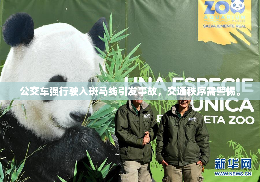 公交车强行驶入斑马线引发事故，交通秩序需警惕。