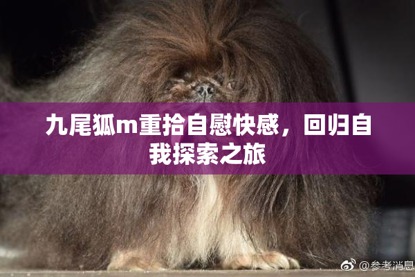 九尾狐m重拾自慰快感，回归自我探索之旅