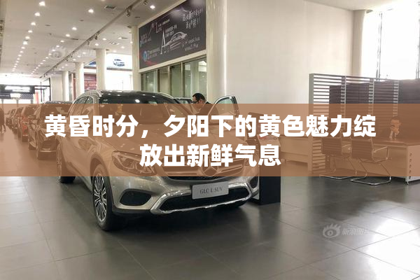黄昏时分，夕阳下的黄色魅力绽放出新鲜气息