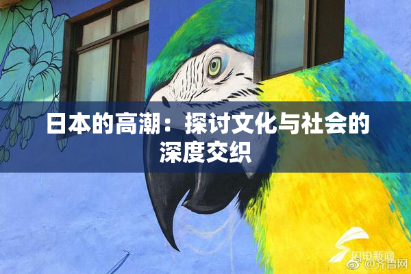 日本的高潮：探讨文化与社会的深度交织