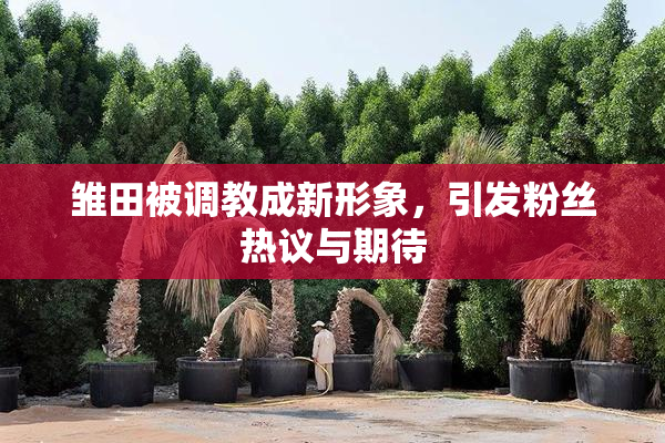 雏田被调教成新形象，引发粉丝热议与期待