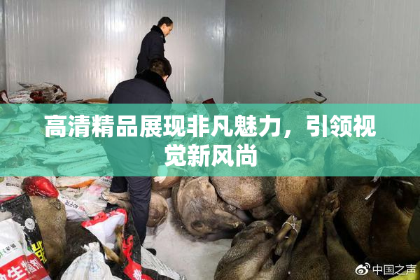 高清精品展现非凡魅力，引领视觉新风尚