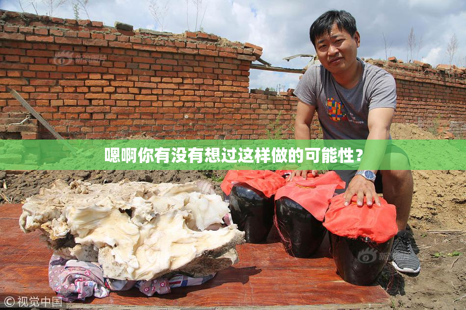 嗯啊你有没有想过这样做的可能性？