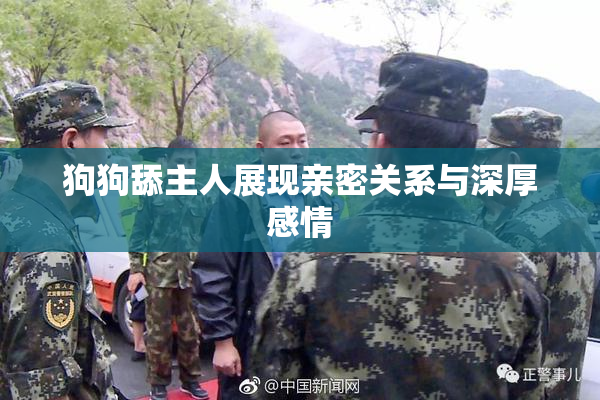 狗狗舔主人展现亲密关系与深厚感情