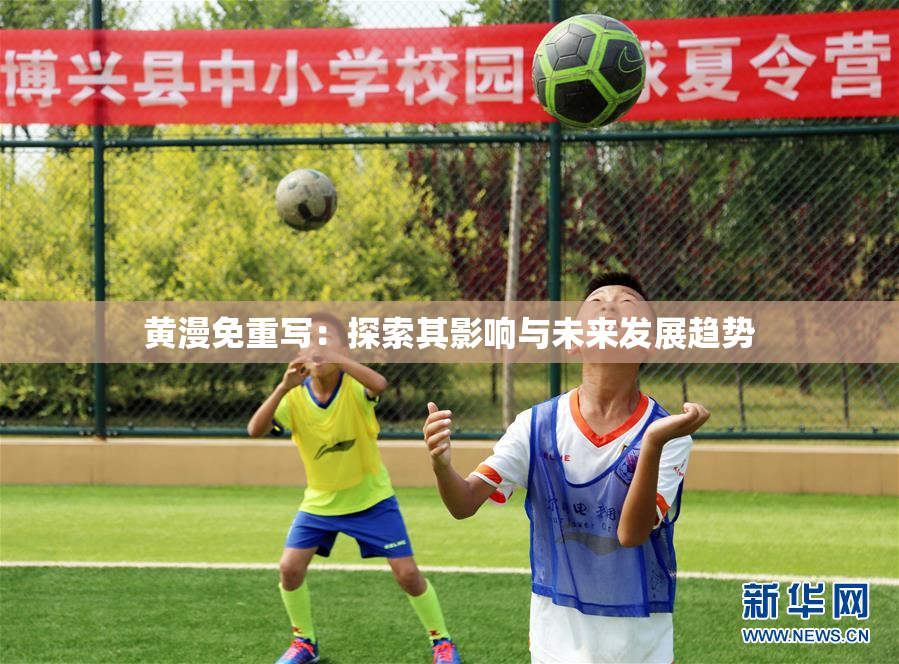黄漫免重写：探索其影响与未来发展趋势