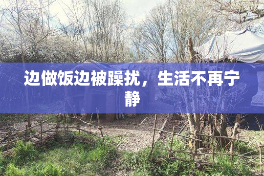 边做饭边被躁扰，生活不再宁静