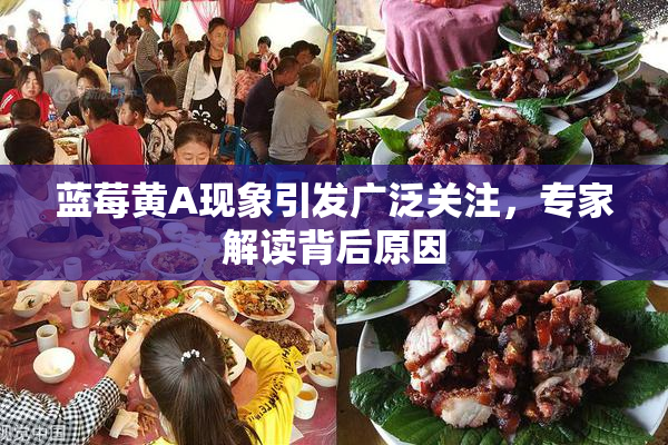 蓝莓黄A现象引发广泛关注，专家解读背后原因