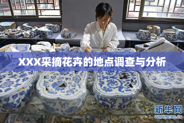 XXX采摘花卉的地点调查与分析