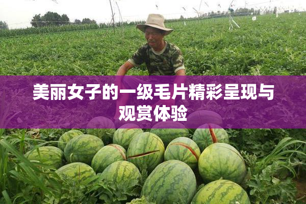 美丽女子的一级毛片精彩呈现与观赏体验