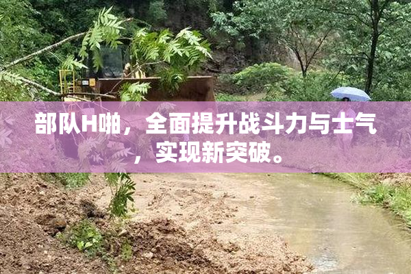 部队H啪，全面提升战斗力与士气，实现新突破。