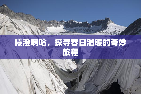 曦澄啊哈，探寻春日温暖的奇妙旅程