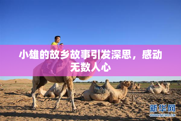 小雄的故乡故事引发深思，感动无数人心