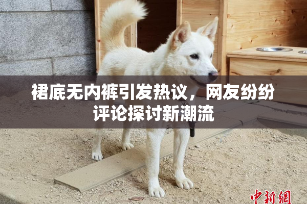 裙底无内裤引发热议，网友纷纷评论探讨新潮流