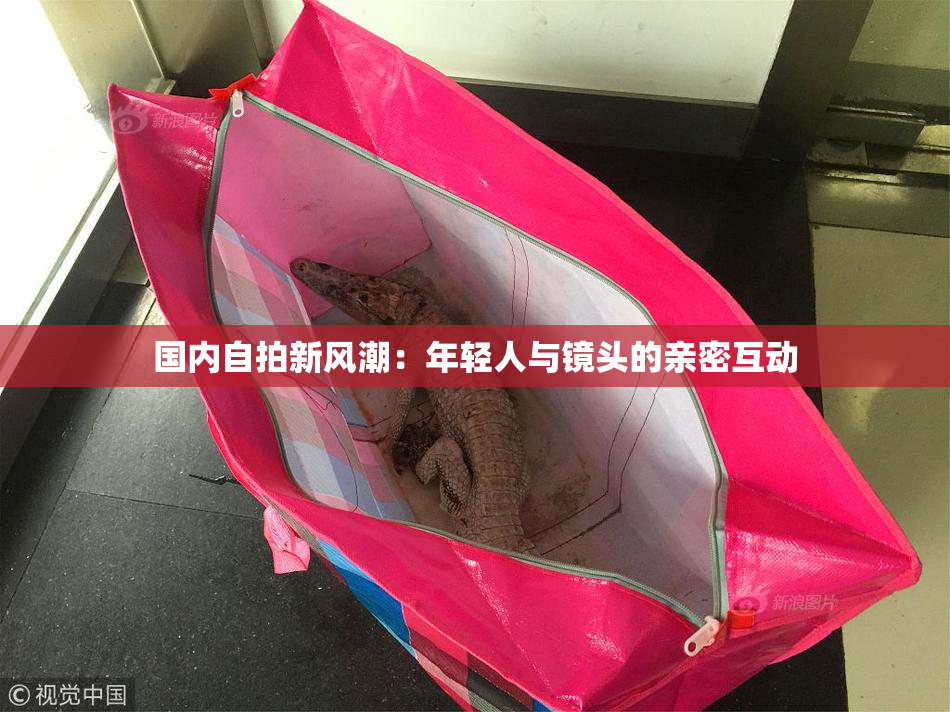 国内自拍新风潮：年轻人与镜头的亲密互动