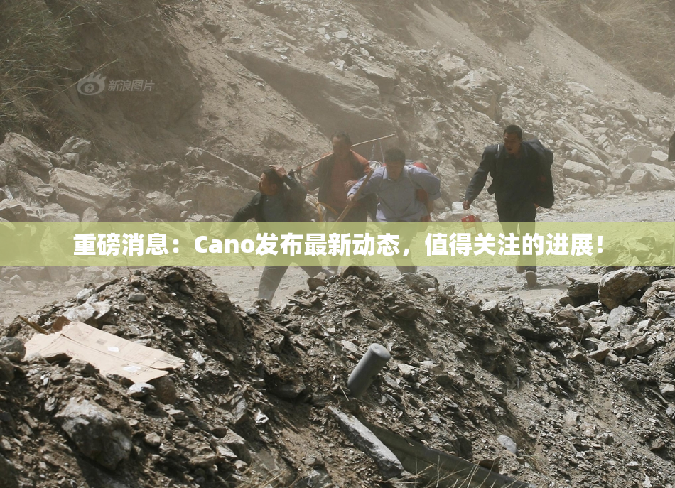 重磅消息：Cano发布最新动态，值得关注的进展！