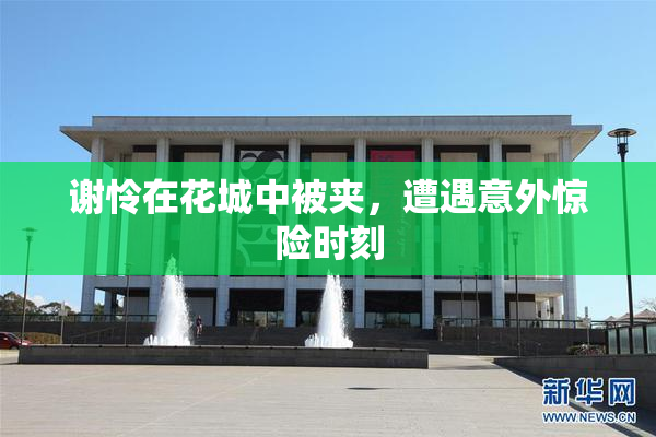 谢怜在花城中被夹，遭遇意外惊险时刻