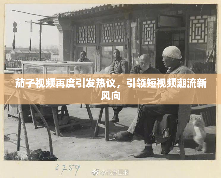 茄子视频再度引发热议，引领短视频潮流新风向