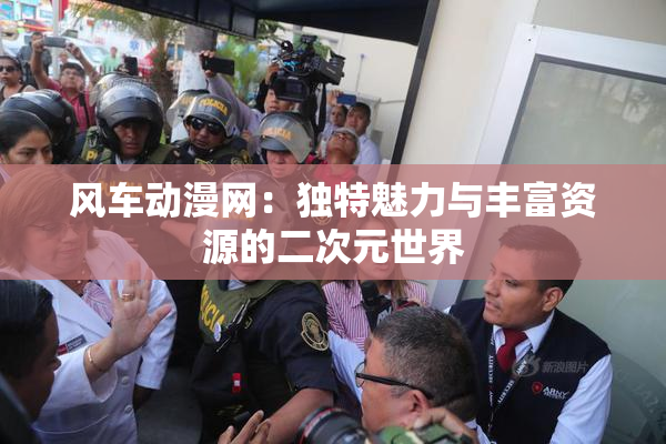 风车动漫网：独特魅力与丰富资源的二次元世界