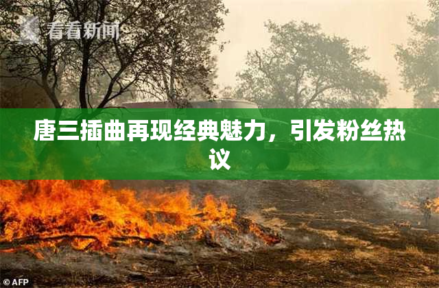 唐三插曲再现经典魅力，引发粉丝热议