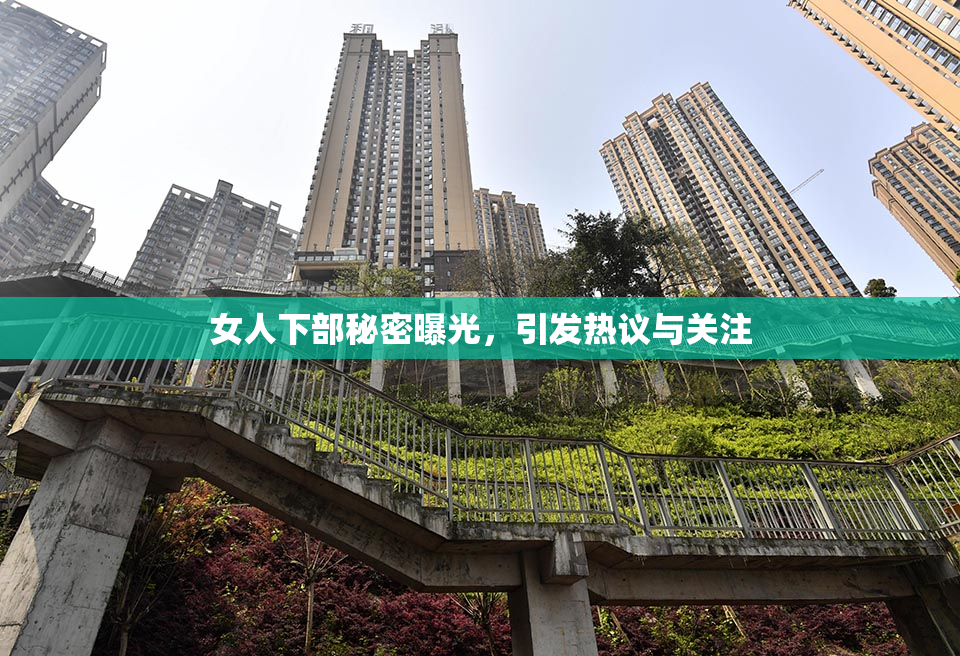 女人下部秘密曝光，引发热议与关注