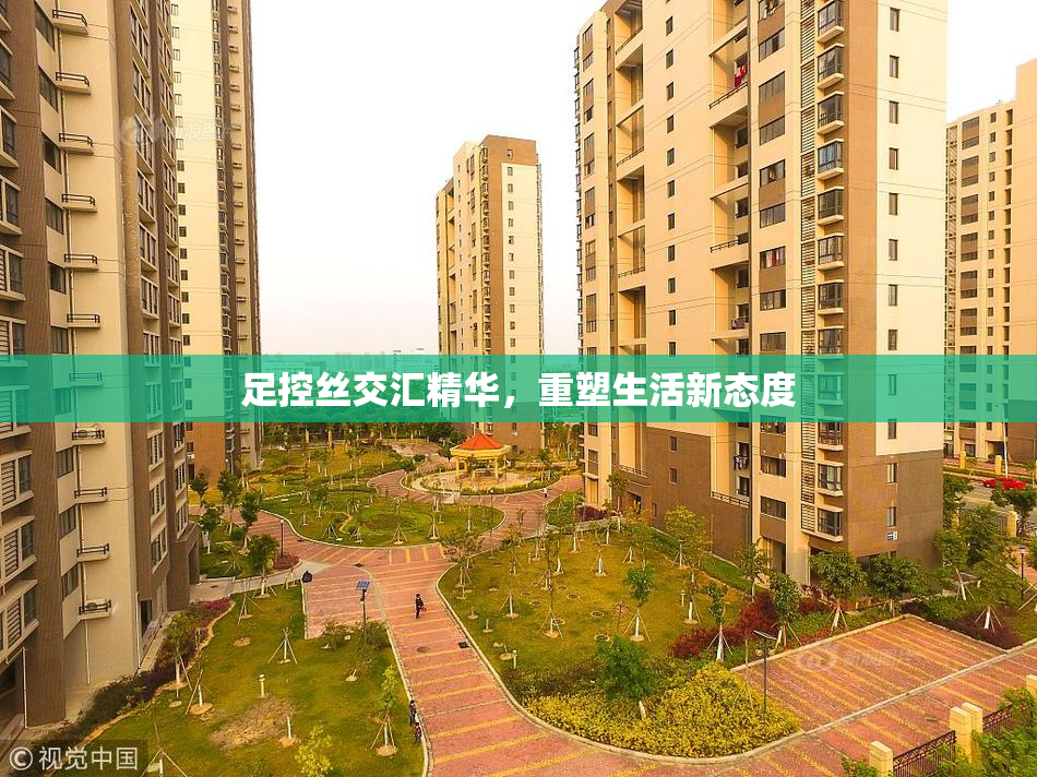 足控丝交汇精华，重塑生活新态度