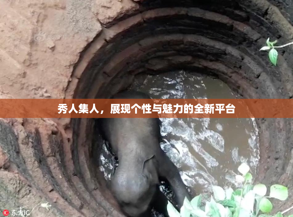 秀人集人，展现个性与魅力的全新平台