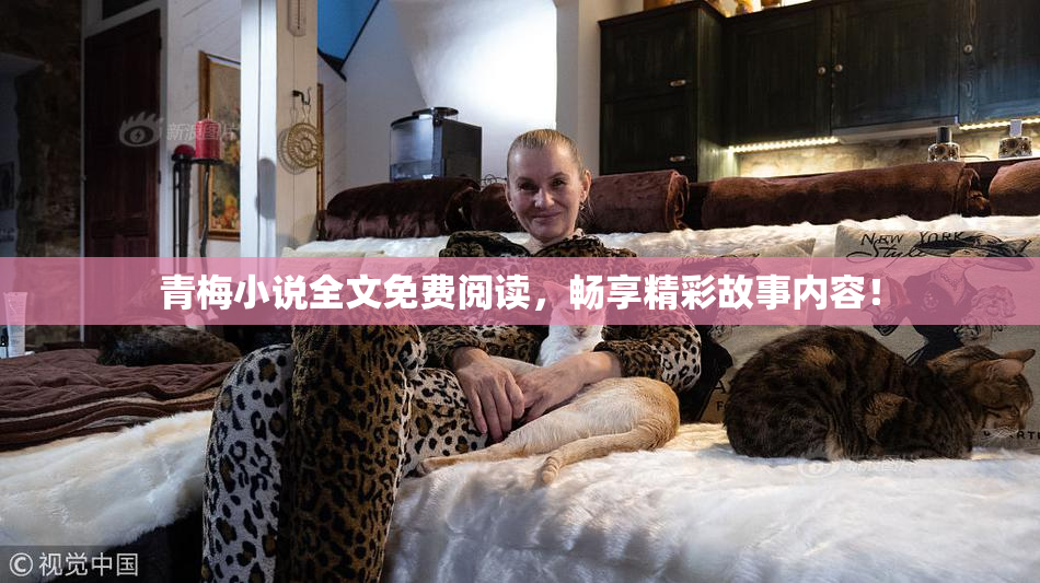 青梅小说全文免费阅读，畅享精彩故事内容！
