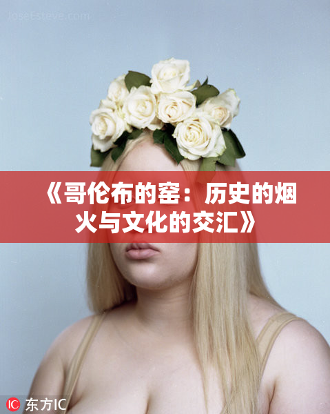 《哥伦布的窑：历史的烟火与文化的交汇》