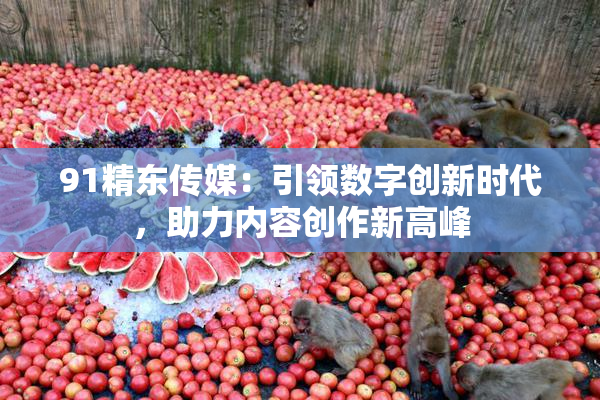 91精东传媒：引领数字创新时代，助力内容创作新高峰