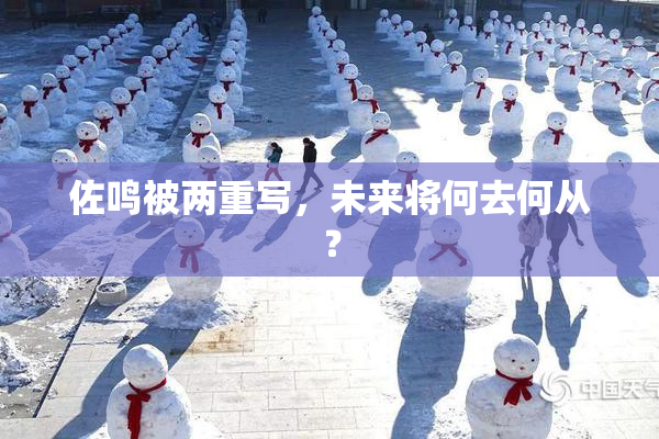 佐鸣被两重写，未来将何去何从？