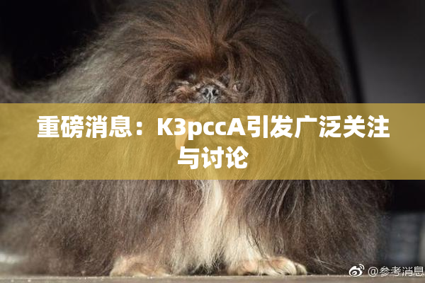 重磅消息：K3pccA引发广泛关注与讨论