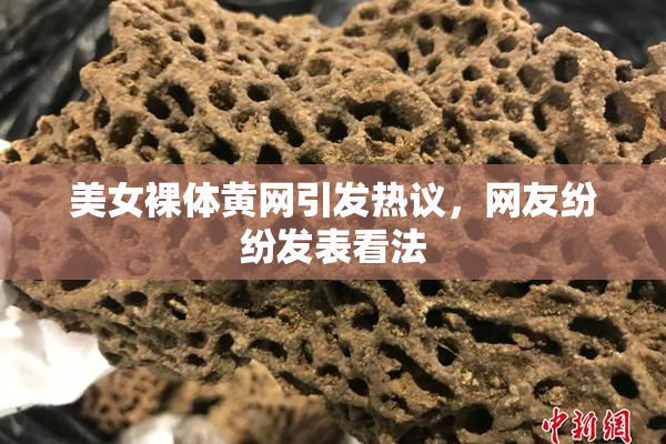 美女裸体黄网引发热议，网友纷纷发表看法