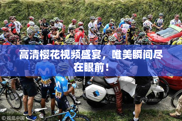高清樱花视频盛宴，唯美瞬间尽在眼前！