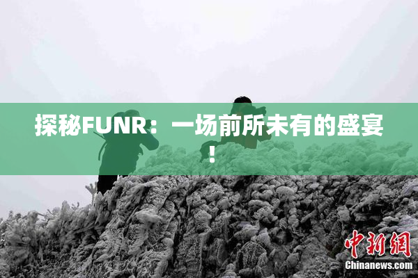 探秘FUNR：一场前所未有的盛宴！