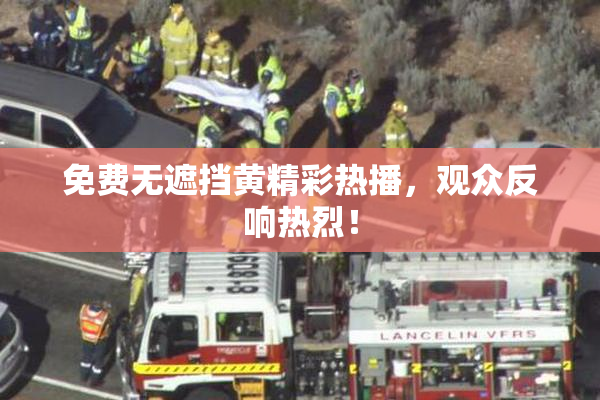 免费无遮挡黄精彩热播，观众反响热烈！