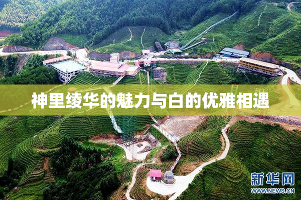 神里绫华的魅力与白的优雅相遇