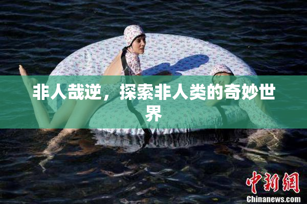 非人哉逆，探索非人类的奇妙世界