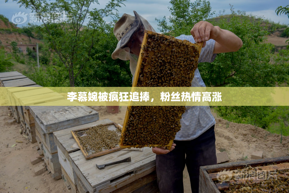 李慕婉被疯狂追捧，粉丝热情高涨