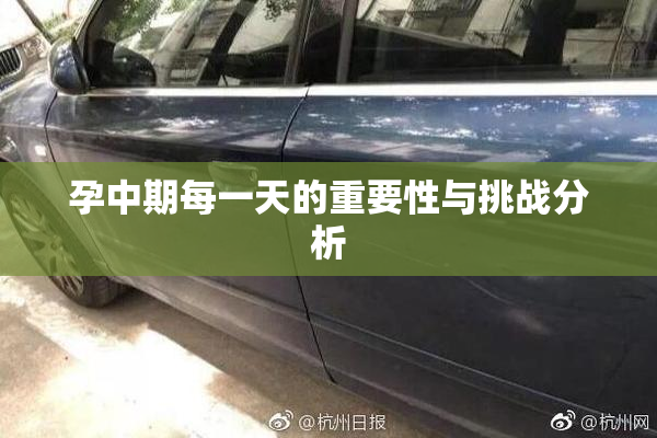 孕中期每一天的重要性与挑战分析
