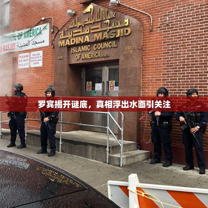 罗宾揭开谜底，真相浮出水面引关注