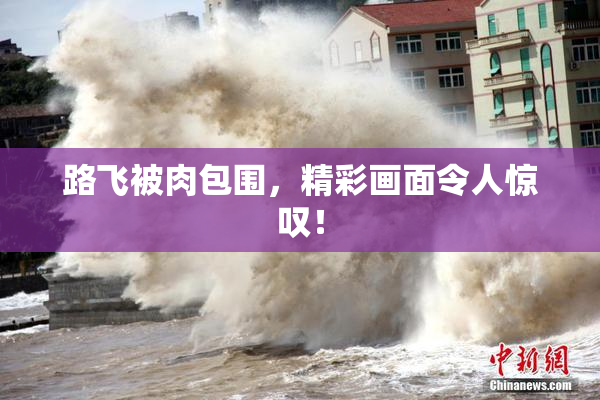 路飞被肉包围，精彩画面令人惊叹！