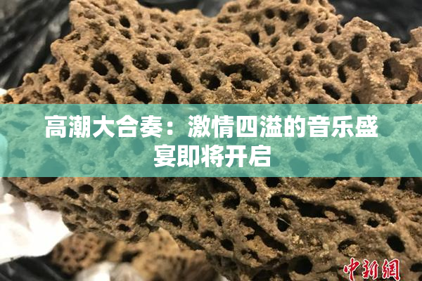 高潮大合奏：激情四溢的音乐盛宴即将开启