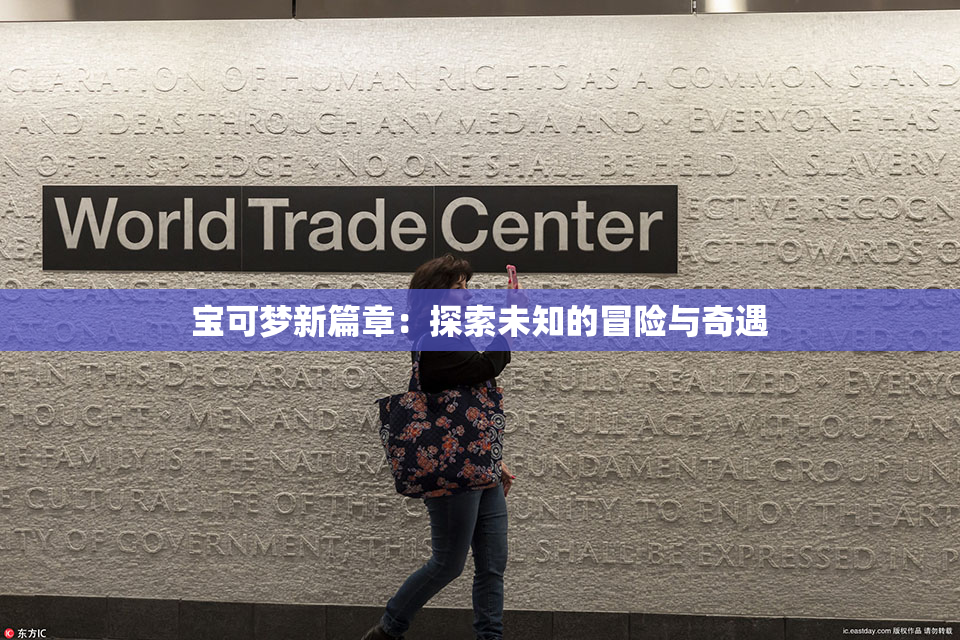 宝可梦新篇章：探索未知的冒险与奇遇