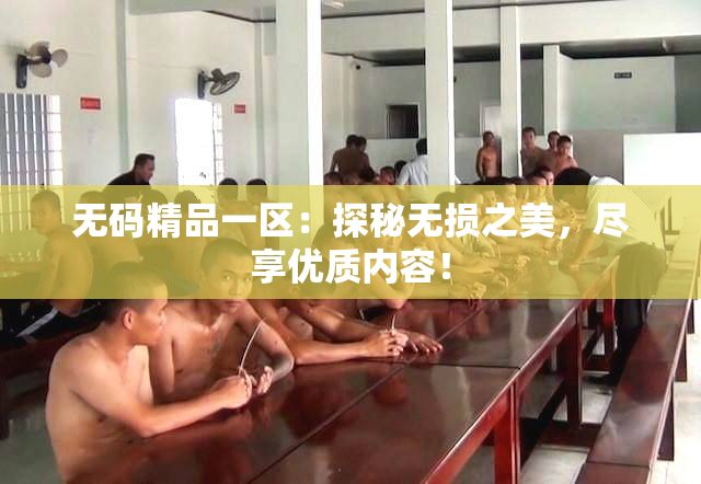 无码精品一区：探秘无损之美，尽享优质内容！